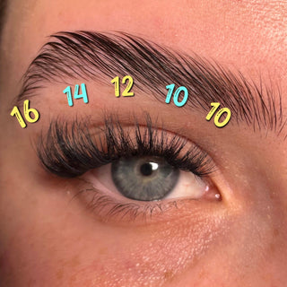 UnBearlievable DIY Cluster Duo Kit - Unicorn Cosmetics