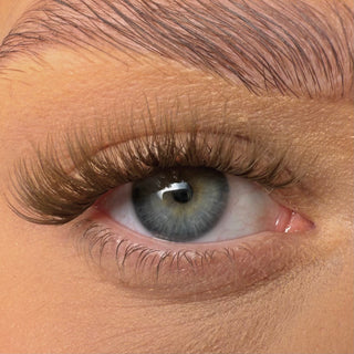 *NEW* Shut The Fluff Up in Mocha Melt UnBearlievable DIY Clusters - Unicorn Cosmetics