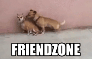 How to Friend Zone a Boy