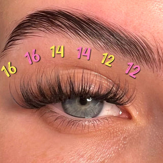 UnBearlievable DIY Cluster Duo Kit - Unicorn Cosmetics