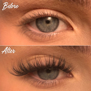 S.T.F.U. Super Pre-Glued Lash Starter Kit - Unicorn Cosmetics