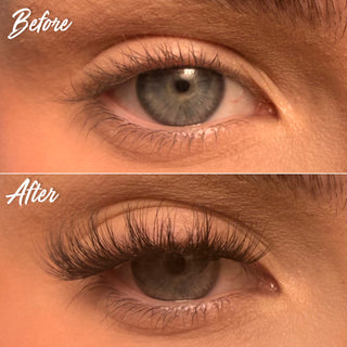 XOXO Super Pre-Glued Lashes - Unicorn Cosmetics